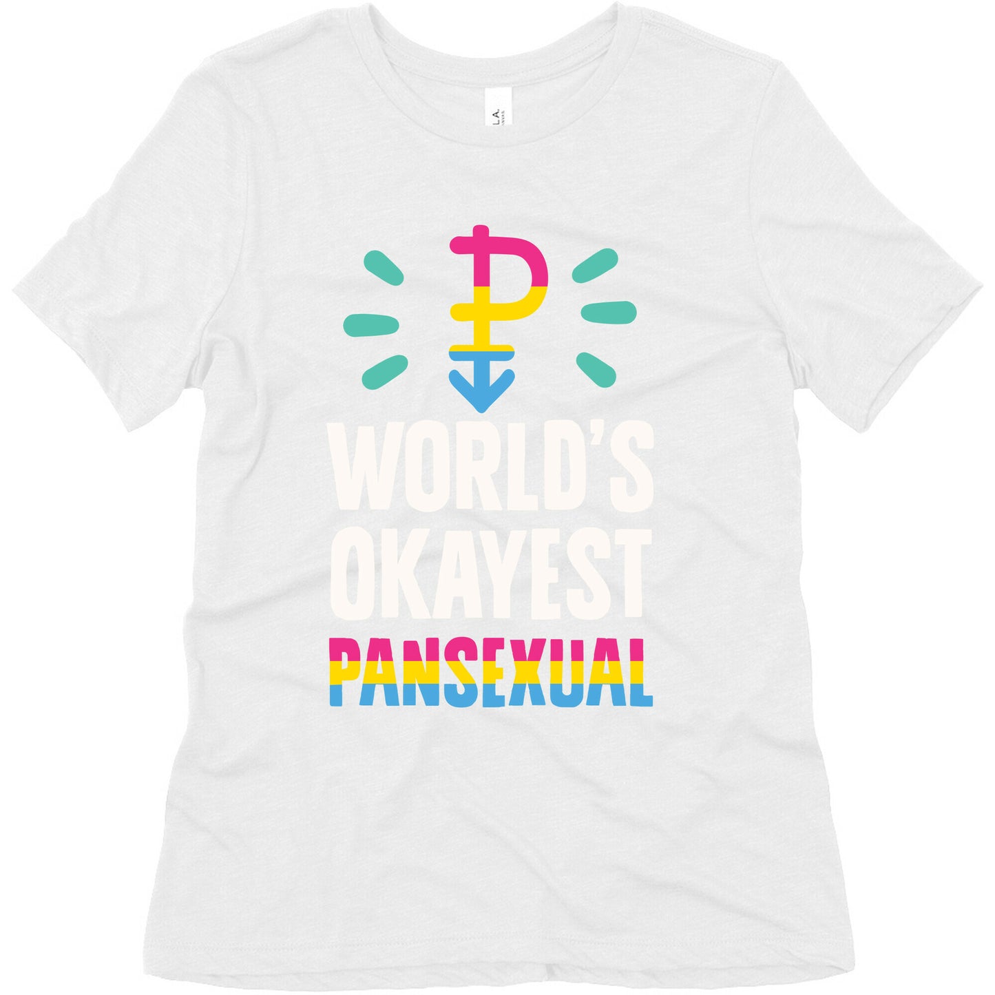World's Okayest Pansexual Women's Triblend Tee