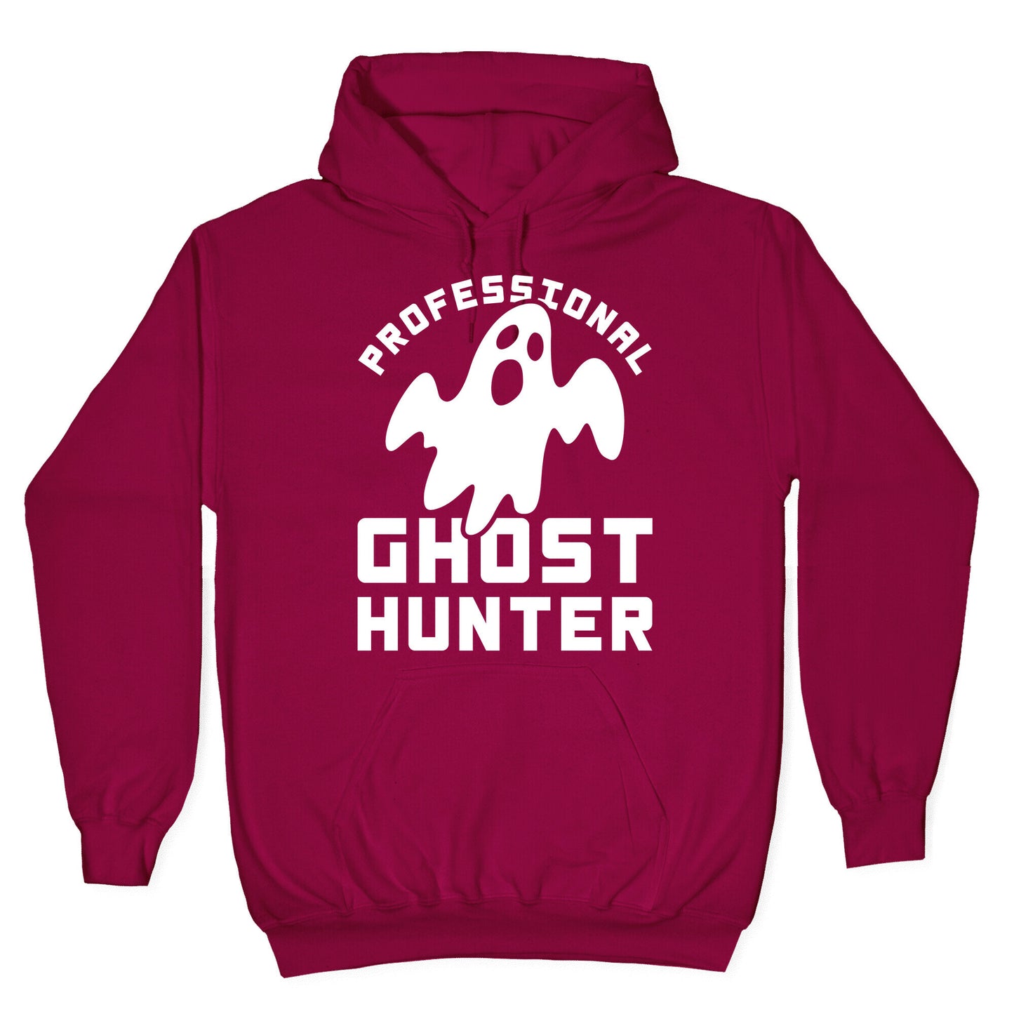 Professional Ghost Hunter Hoodie