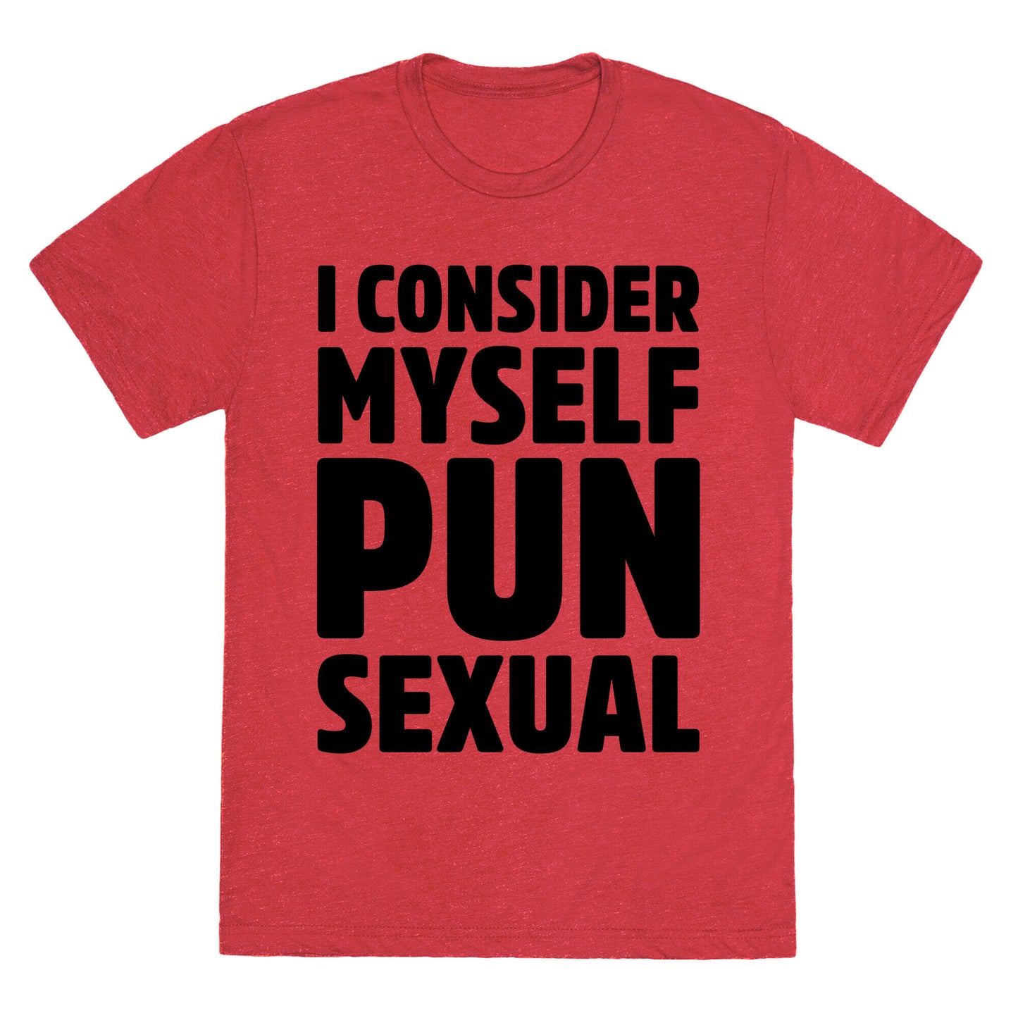 I Consider Myself PUN-Sexual Unisex Triblend Tee