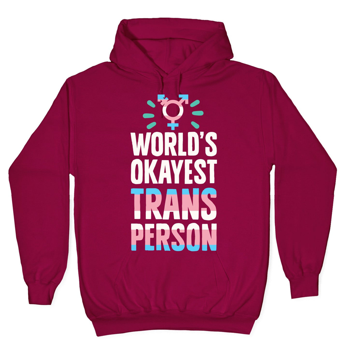 World's Okayest Trans Hoodie