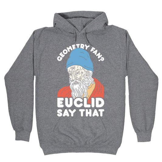 Geometry Fan? Euclid Say That Hoodie