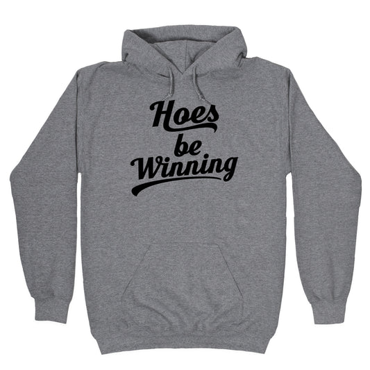 Hoes be Winning Hoodie