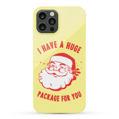 I Have A Huge Package For You Santa Phone Case