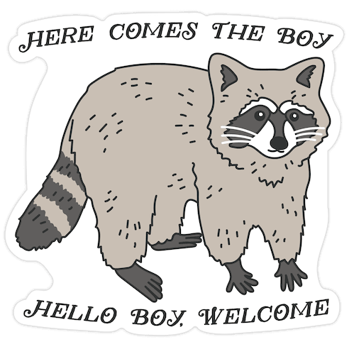 Here Comes The Boy, Hello Boy, Welcome - Raccoon Die Cut Sticker