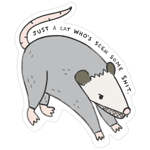 Just A Cat Who's Seen Some Shit Opossum Die Cut Sticker