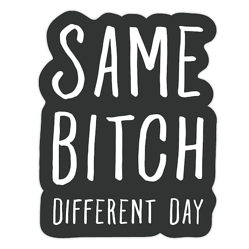 Same Bitch Different Day Die Cut Sticker