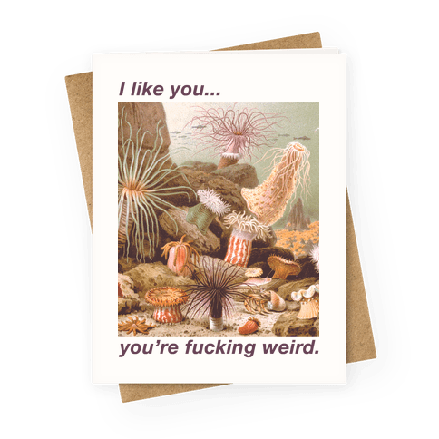 I Like You You're F***ing Weird Greeting Card