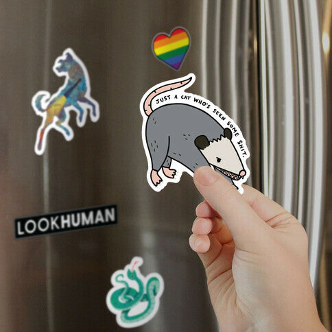 Just A Cat Who's Seen Some Shit Opossum Magnet