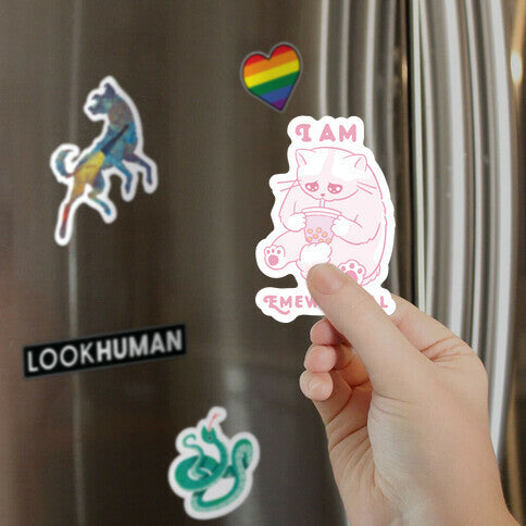 I Am Emewtional Magnet