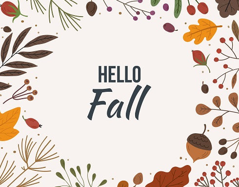 20 Cozy Fall Aesthetics to Celebrate the Season