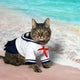 The Ultimate Guide to Cat-Themed Apparel: Show Your Feline Love in Style