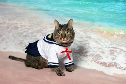 The Ultimate Guide to Cat-Themed Apparel: Show Your Feline Love in Style