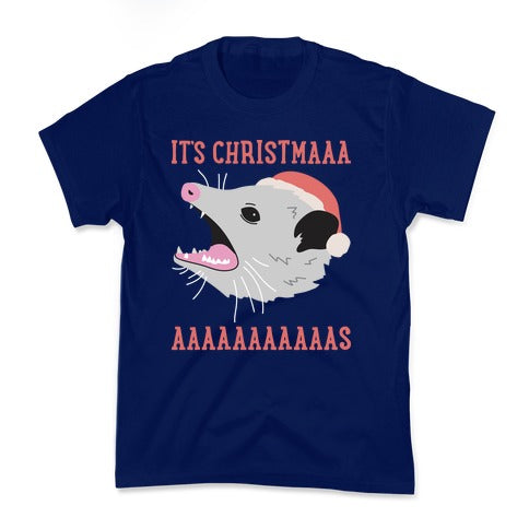 It's Christmas Screaming Opossum Kid's Tee