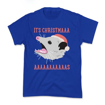It's Christmas Screaming Opossum Kid's Tee