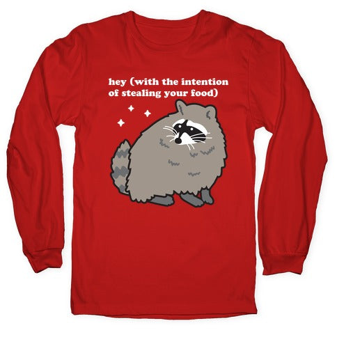 Hey (with the intention of stealing your food) Raccoon Longsleeve Tee