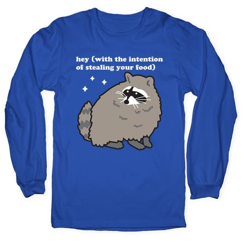 Hey (with the intention of stealing your food) Raccoon Longsleeve Tee