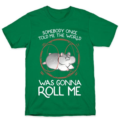 Somebody Once Told Me The World Was Gonna Roll Me T-Shirt