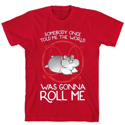 Somebody Once Told Me The World Was Gonna Roll Me T-Shirt