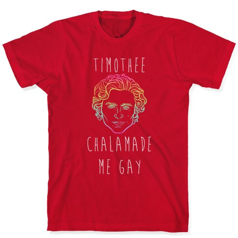 Timothee Chalamet Made Me Gay T-Shirt