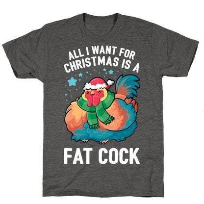 All I Want For Christmas Is A Fat Cock Unisex Triblend Tee