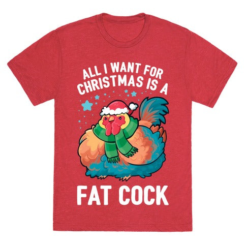 All I Want For Christmas Is A Fat Cock Unisex Triblend Tee