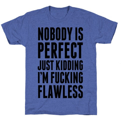 Nobody is Perfect. (Just Kidding) Unisex Triblend Tee