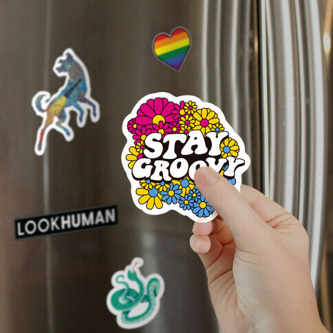 Stay Groovy (Pan Flag Colors) Magnet