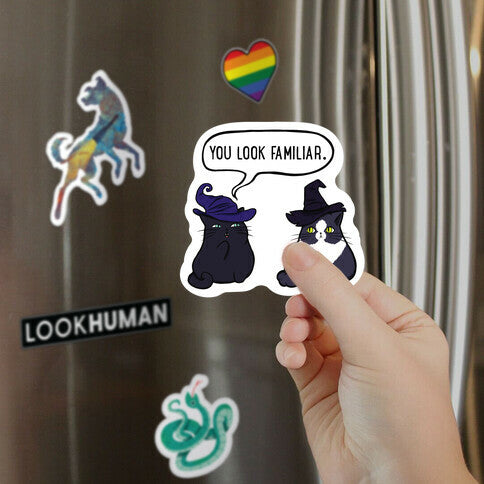 You Look Familiar Magnet