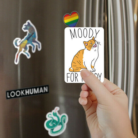 Moody For Foody Cat Magnet