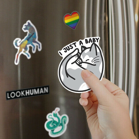 I Just A Baby Kitten Magnet