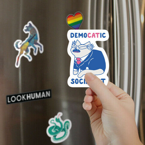 DemoCATic Socialist Magnet