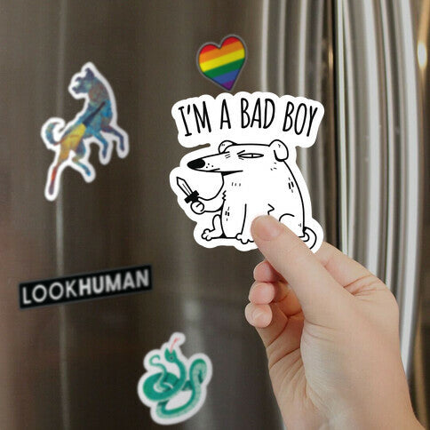 I'm A Bad Boy Magnet