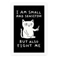 I Am Small And Sensitive But Also Fight Me Cat Poster