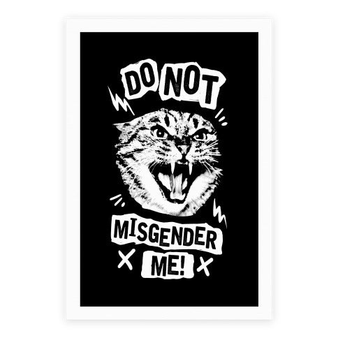Do Not Misgender Me Poster