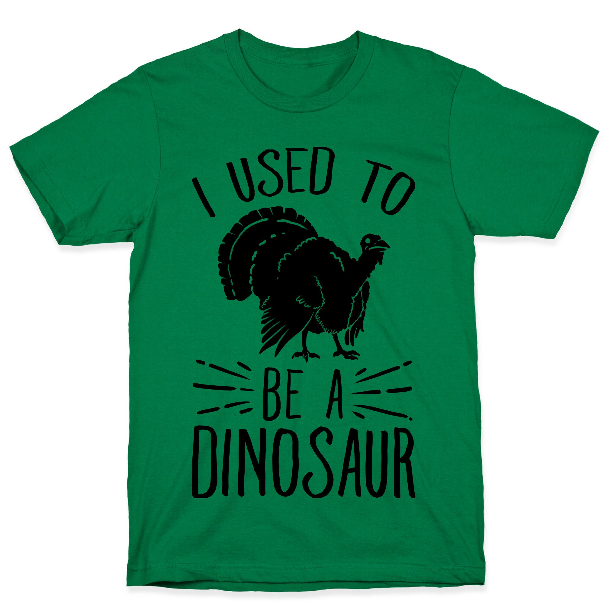 I Used to Be a Dinosaur T-Shirt