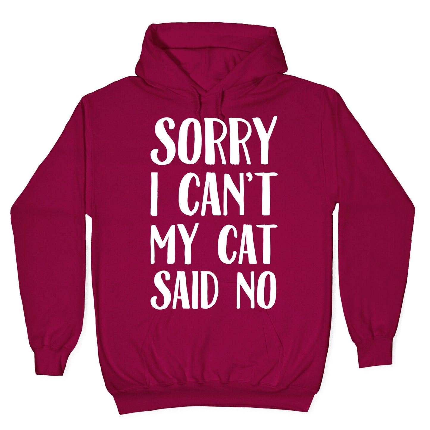 Sorry I Can't My Cat Said No Hoodie