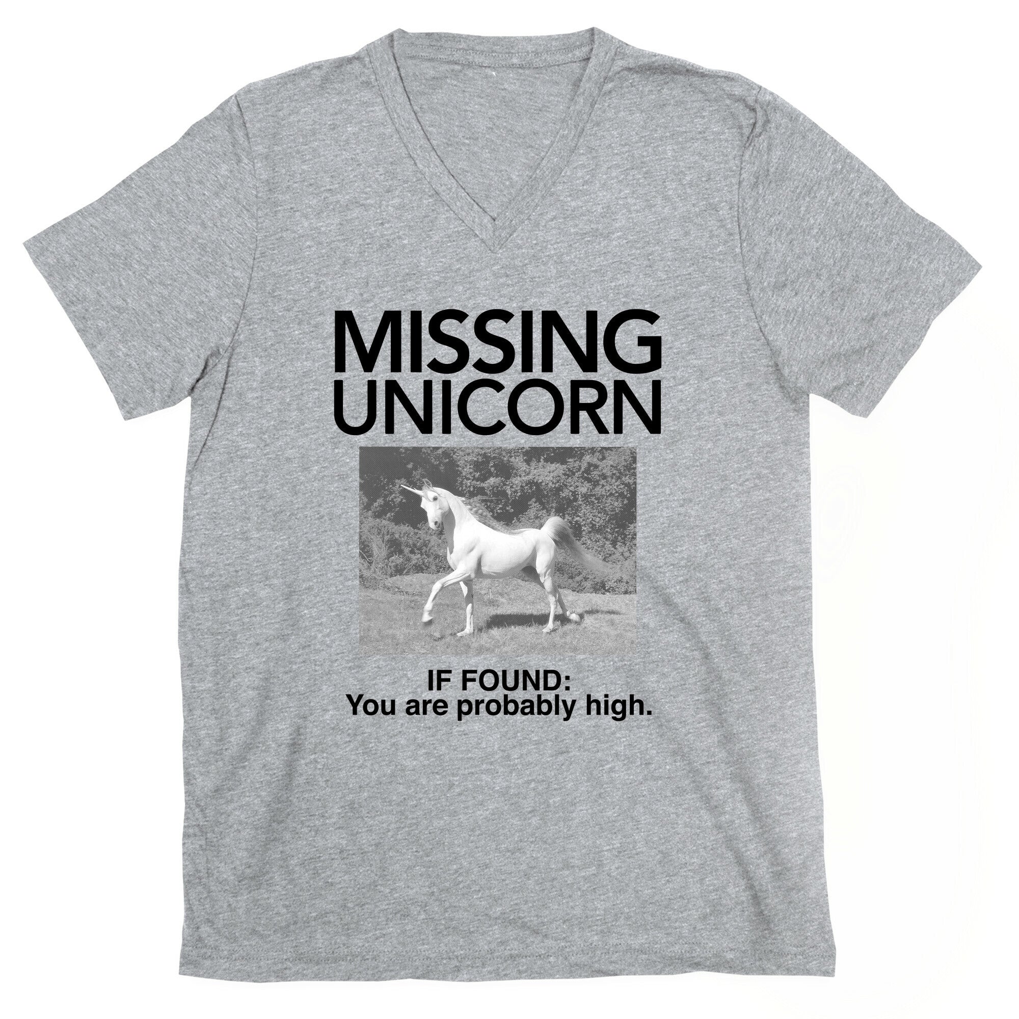 Missing Unicorn V-Neck