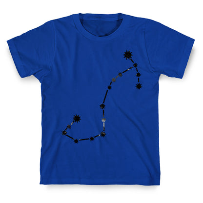 Scorpio T-Shirt
