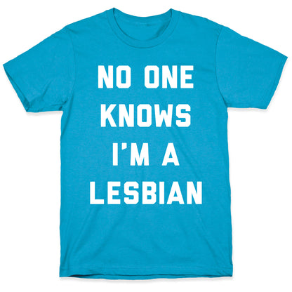 No One Knows Unisex Triblend Tee