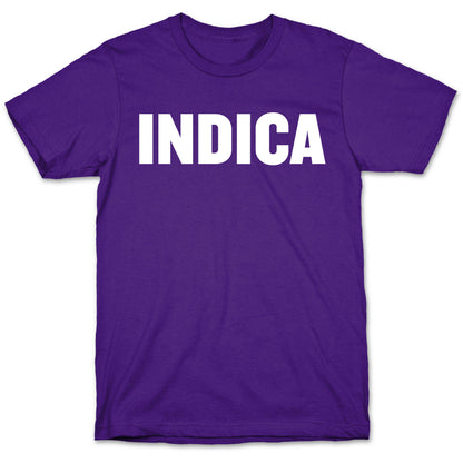 Indica T-Shirt