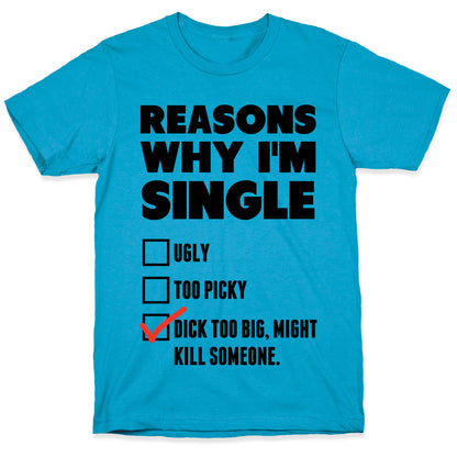 Why I'm Single Unisex Triblend Tee
