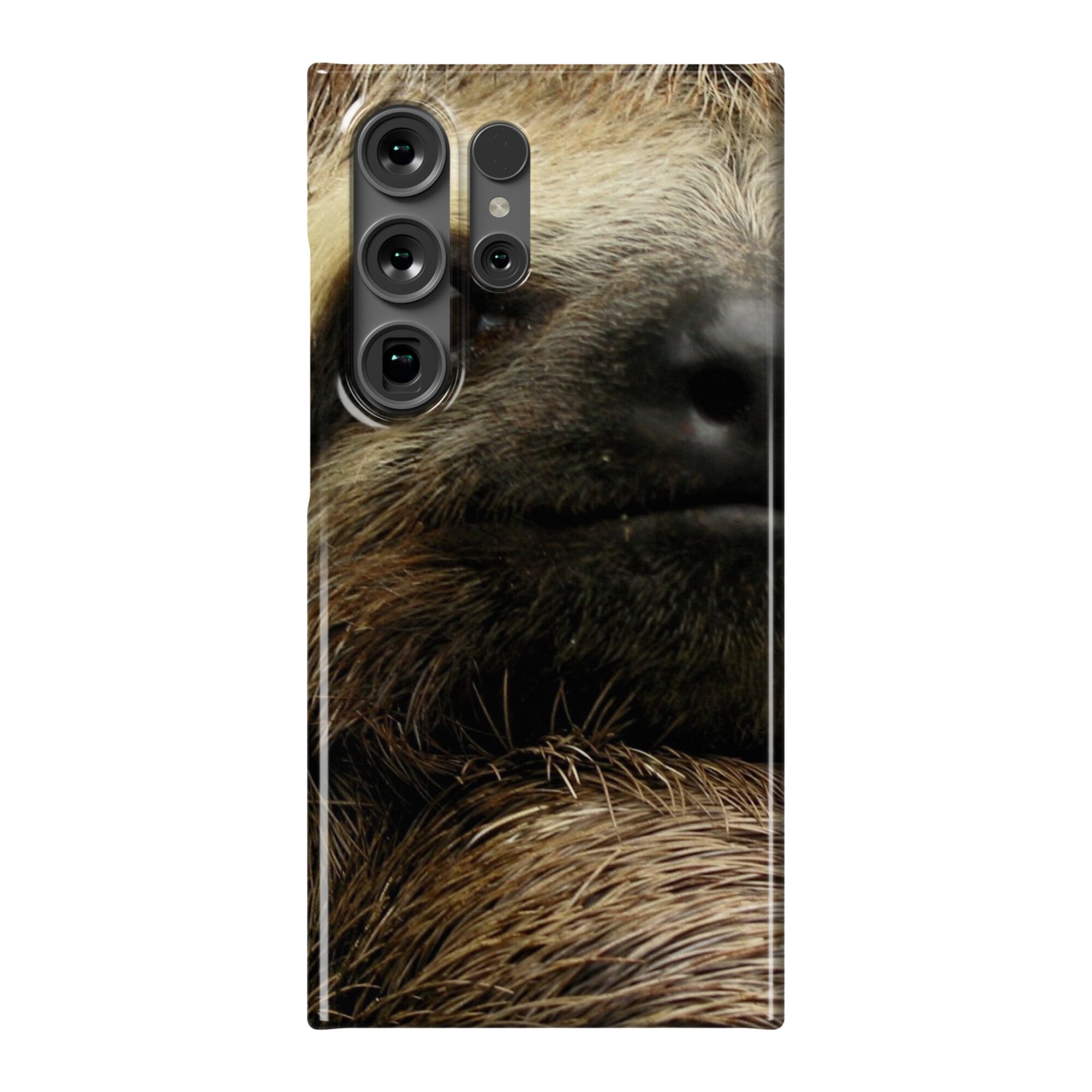 Sloth Phone Case