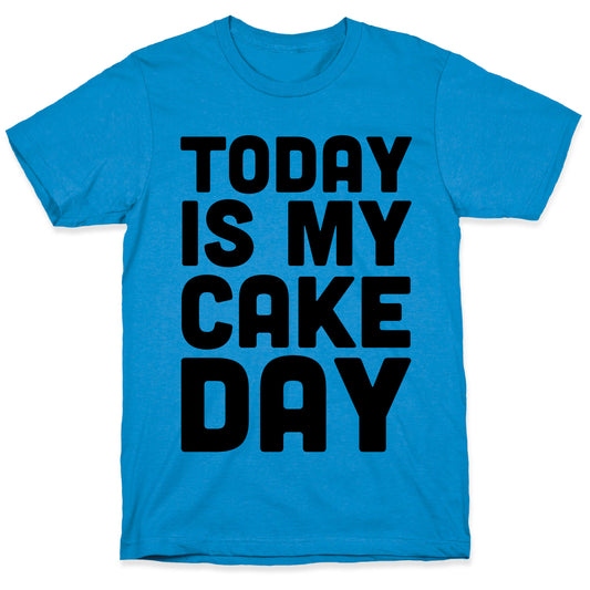 Today is My Cake Day T-Shirt