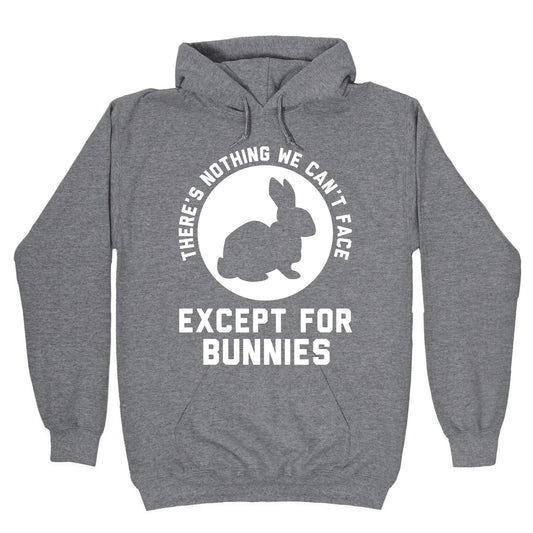 There's Nothing We Can't Face Except For Bunnies Hoodie