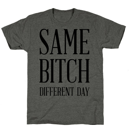 Same Bitch Different Day Unisex Triblend Tee