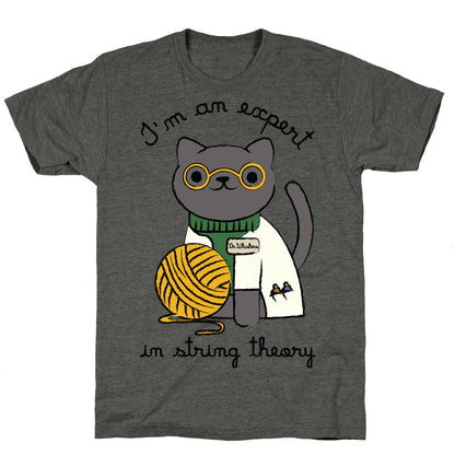 I'm An Expert In String Theory Unisex Triblend Tee