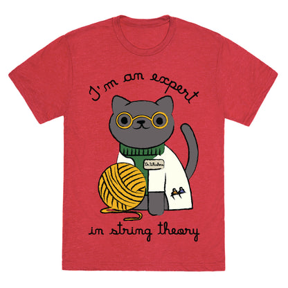 I'm An Expert In String Theory Unisex Triblend Tee