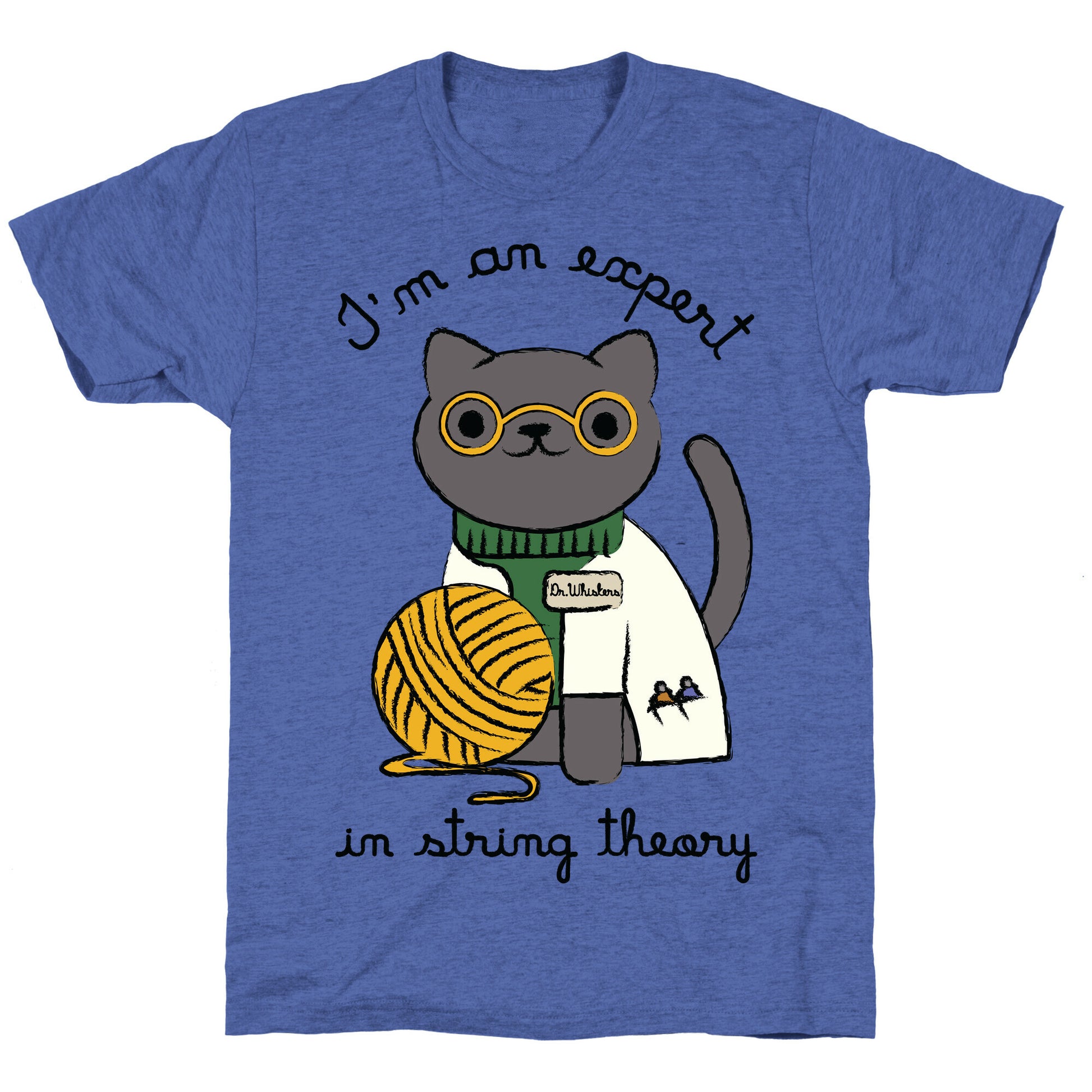 I'm An Expert In String Theory Unisex Triblend Tee