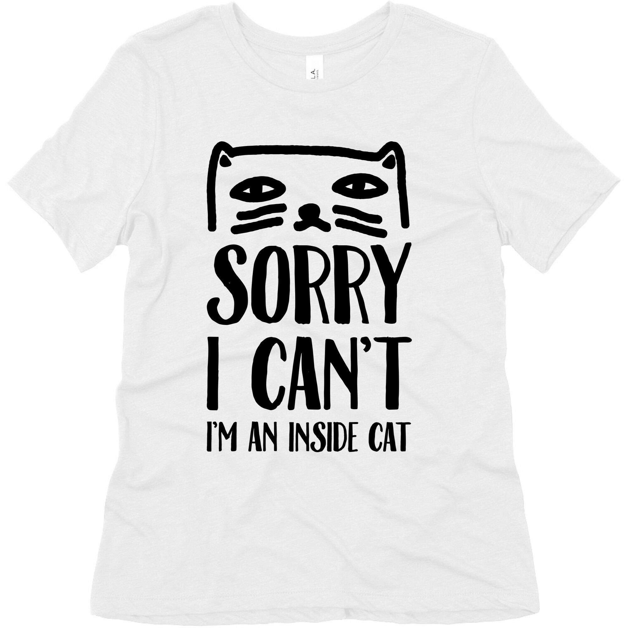 Sorry I Can't I'm An Inside Cat Women's Triblend Tee