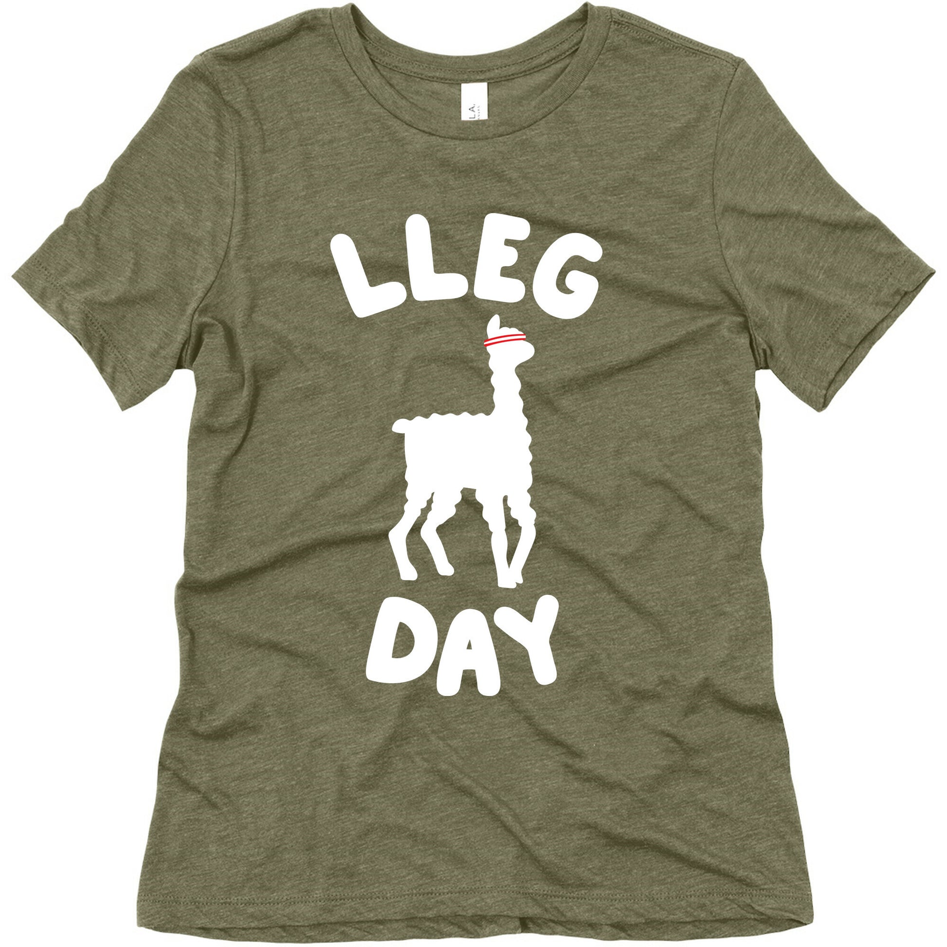 Lleg Day Llama Women's Triblend Tee